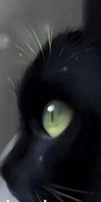 Avatar du membre