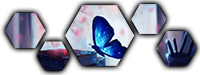 Aucun message non lu