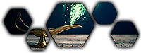 Aucun message non lu