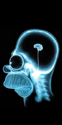Avatar du membre