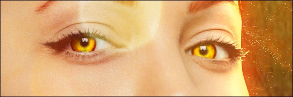 AngelinaJolie-S-013.jpg