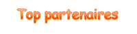 DDSTV-THEME-2009-004.png