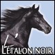 DDSTV-THEME-2011-BOUTONS-80x80-017.jpg