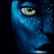 DDSTV-THEME-2011-BOUTONS-80x80-135.jpg