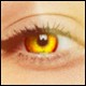 DDSTV-THEME-2011-BOUTONS-80x80-179.jpg