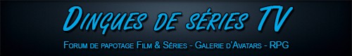 DDSTV-THEME-2016-PARTENAIRES-004.jpg