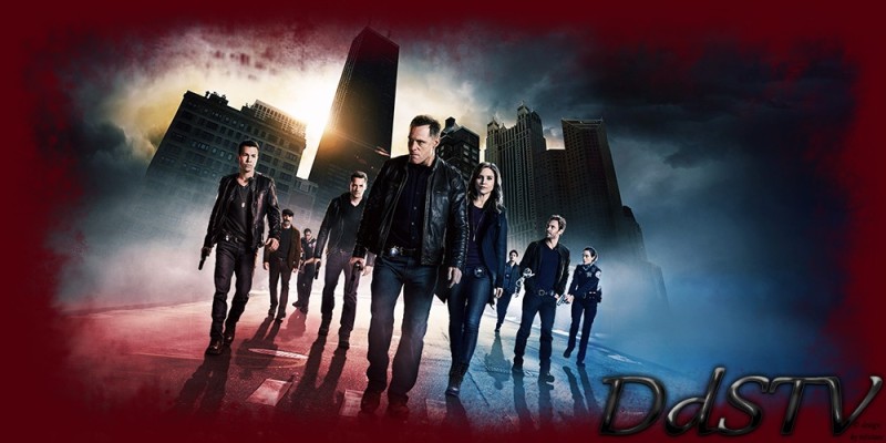 DDSTV-THEME-2017-024.jpg