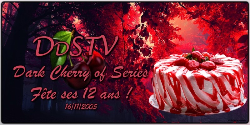 DDSTV-THEME-2017-027.png