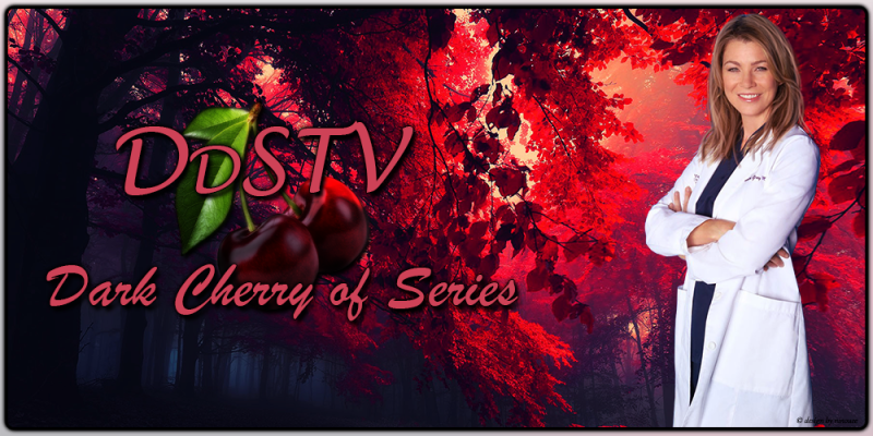 DDSTV-THEME-2017-028.png