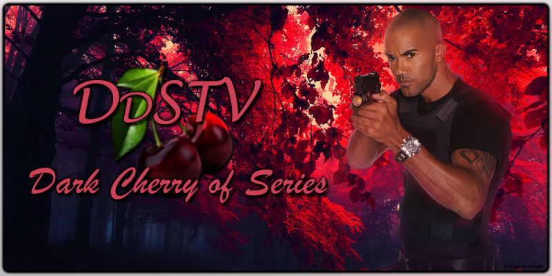 DDSTV-THEME-2017-031.png
