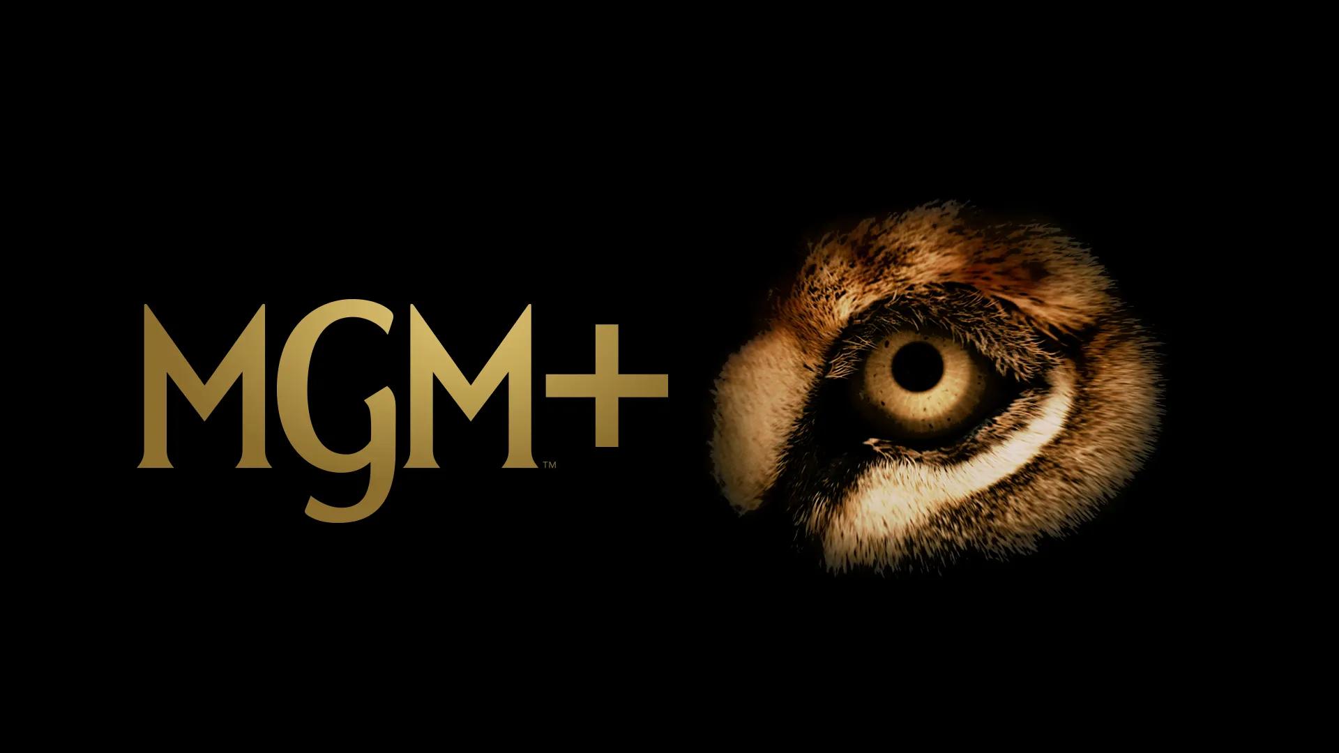MGM+