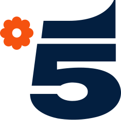 Canale 5
