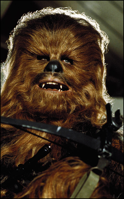 Chewbacca