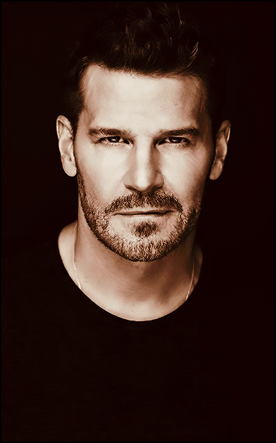 David Boreanaz