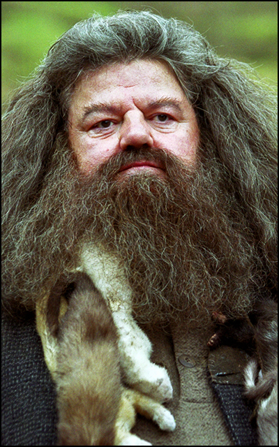 Rubeus Hagrid