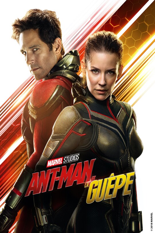Ant-Man et la Guêpe