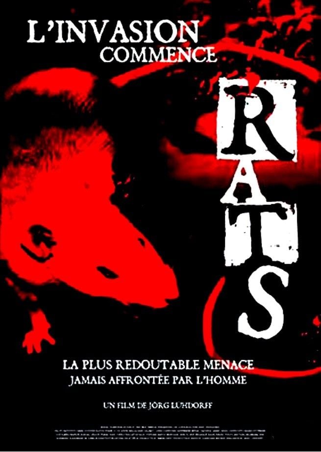 Rats, l'invasion commence
