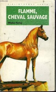 Flamme, cheval sauvage