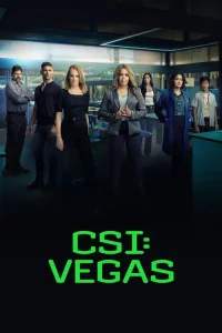 Les Experts : Vegas
