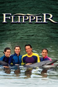 Les Nouvelles Aventures de Flipper le dauphin