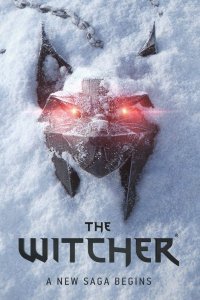 The Witcher IV