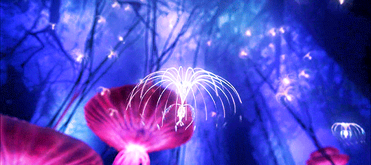 PANDORA-DECODIVERS-007.gif