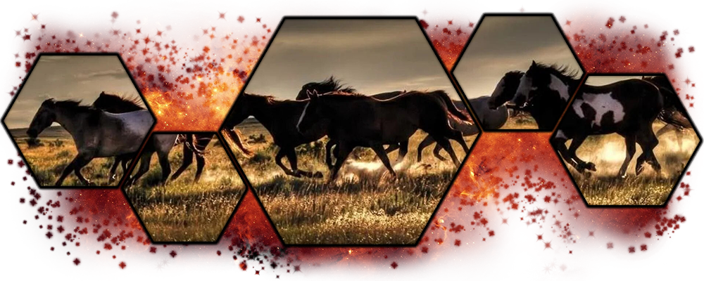 ZORRO-DECOSUJET-002.png