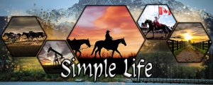 The Simple Life